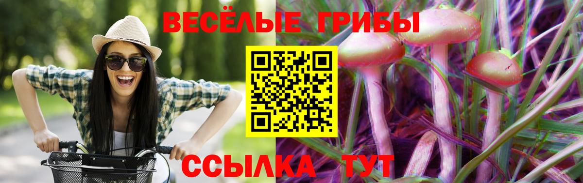 Балтийск  Галлюциногенные грибы мухоморы  Вход с VPN  Галлюциногенные грибы Magic Shrooms 