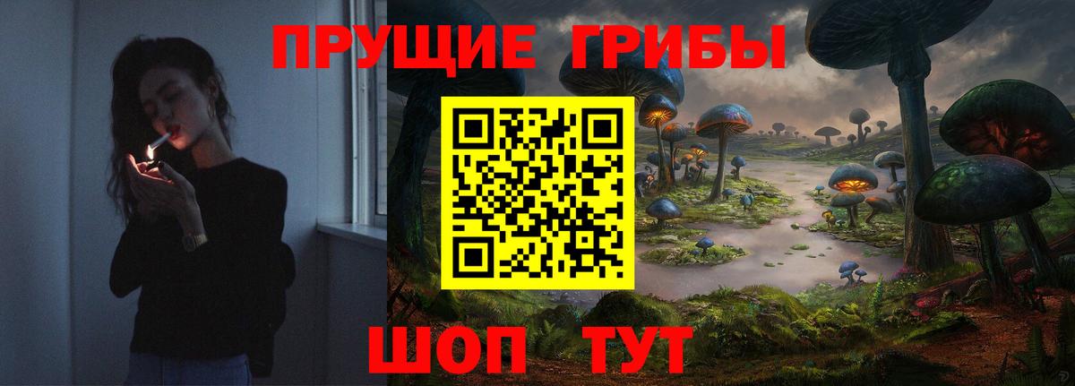 Галлюциногенные грибы мицелий Балтийск